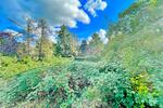Winkelwalmdachbungalow im Dornröschenschlaf sucht Familie zum Wachküssen * Schatz im Garten inkl. * - Bungalow Bad Bramstedt | Angebot:10386644